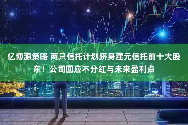 亿博源策略 两只信托计划跻身建元信托前十大股东！公司回应不分红与未来盈利点